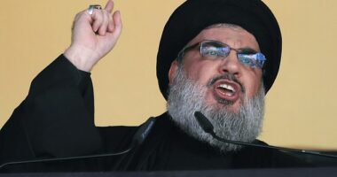 Israel have killed Hezbollah chief Hassan Nasrallah (pictured in 2015) in strikes on Beirut