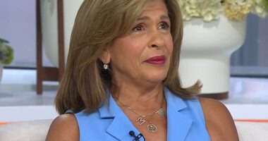 Today show icon Hoda Kotb has announced she will be leaving the show early next year