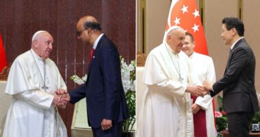 Honoured, inspired, delighted: S'pore politicians welcome Pope to S'pore - Mothership.SG