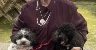 Sue Scammell, 77,  is pictured with her dogs Ollie and Bella