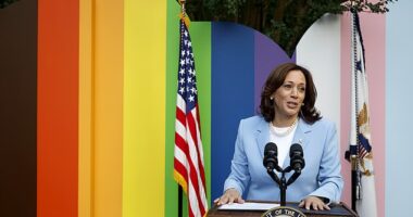 Vice President Kamala Harris speaks onstage during a Pride Celebration hosted by the Vice President Of The United States