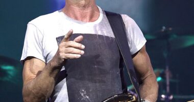 Sting's solo career has continuously topped off his millions - though he may have had some help from fellow musicians who unlawfully "borrowed" his work