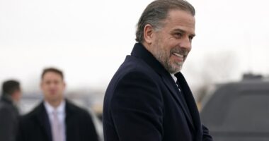 Hunter Biden's Art Career Has About Four Months Left – HotAir