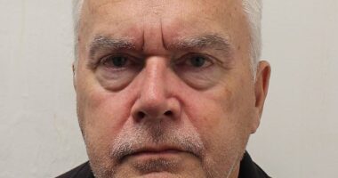 Huw Edwards - seen in a new mugshot - pleaded guilty to three charges of 'making' indecent photographs of children