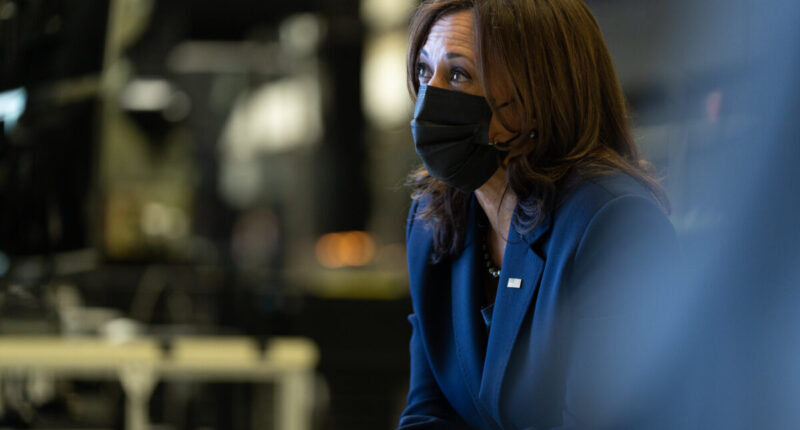If Kamala Were Committed To Energy, She'd End LNG Export Ban