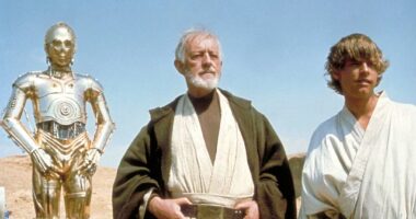 Celebrity Net Worth logo