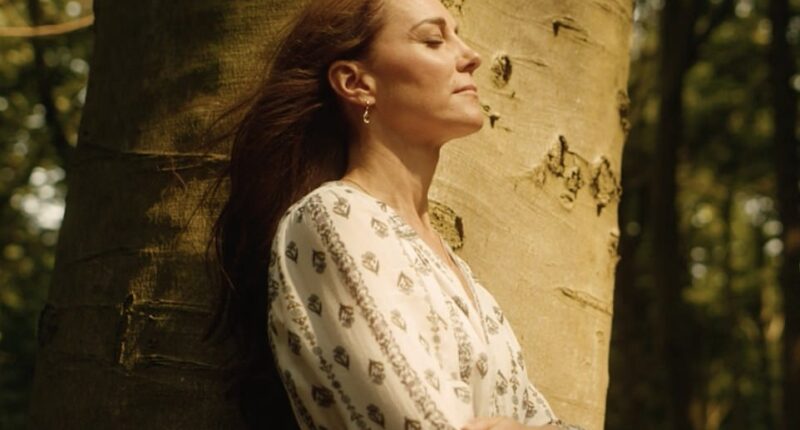 The Princess of Wales has revealed in a new, astonishingly candid clip, that she has finished her preventative chemotherapy and she will be taking on 'a few more engagements' in the coming months