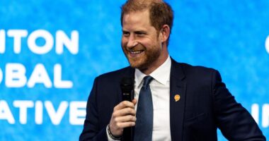Inside Prince Harry's bid to become a global statesman