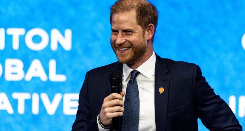 Inside Prince Harry's bid to become a global statesman