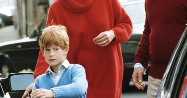 Prince Harry, aged eight, seen with his mother Princess Diana and their police bodyguard Ken Wharfe out shopping in Tetbury, Gloucestershire, November 1992. When he was aged five or six he snuck out of the grounds of Kensington Palace and headed down to a record shop