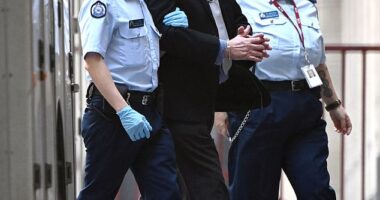 Greg Lynn enters the Supreme Court of Victoria in handcuffs on Wednesday. He faces life behind bars for the murder of Carol Clay
