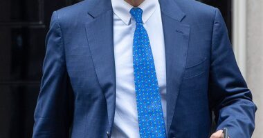 Lebanon's London ambassador Rami Mortada has said their troops would not 'stand idly by and watch' if Israel invaded or were to 'mount a heavy aerial attack'