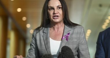 Senator Jacqui Lambie (pictured) has opened up about her mental health struggles in a new book