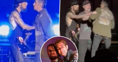 Jane's Addiction breaks out into fight after Perry Farrell punches Dave Navarro