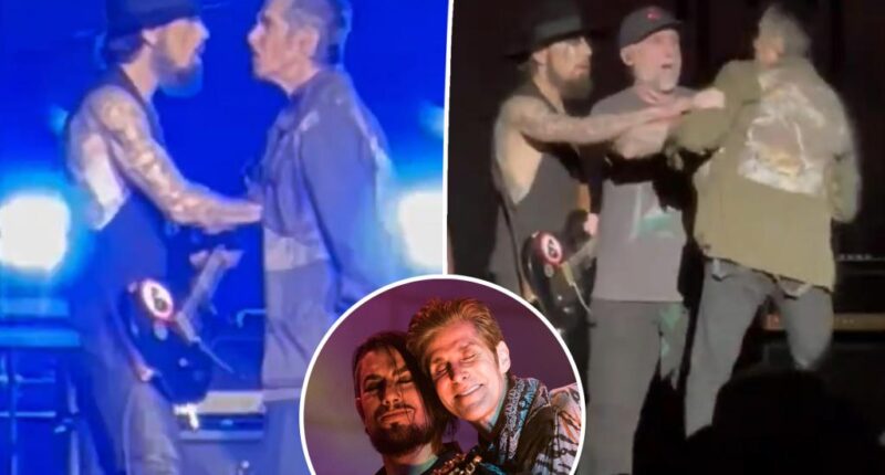 Jane's Addiction breaks out into fight after Perry Farrell punches Dave Navarro