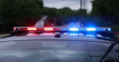 Family Questions Death Of Javion Magee After He Was Found Near Tree With Rope In North Carolina