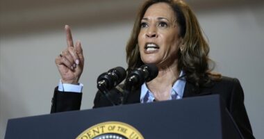 Kamala HQ's Evasive Maneuvers on Policy Unravel As EV Mandate Shift Comes Into Focus – RedState