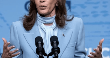 Kamala Harris Criticizes Donald Trump For Mass Deportation Plan Despite Majority of Americans Supporting Immigration Restriction