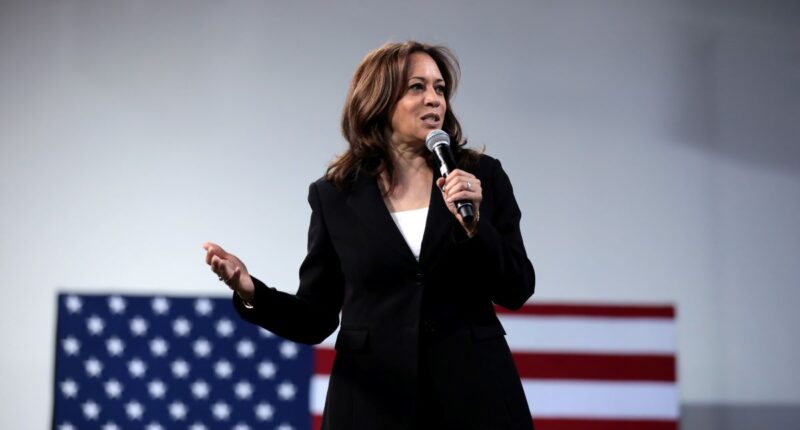 Kamala Harris’ Pandering Tax Plan Is No Poverty Panacea