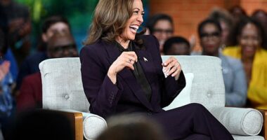 Kamala Harris' brutal assessment of self-defense laws before she laughed about shooting intruders in Oprah interview
