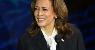 A company that makes bluetooth earrings that resemble Kamala Harris ' debate jewelry has offered their wares to Donald Trump as well, with one caveat