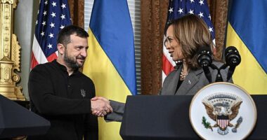 Ukraine's President Volodymyr Zelensky and Vice President Kamala Harris shake hands during a meeting at the White House