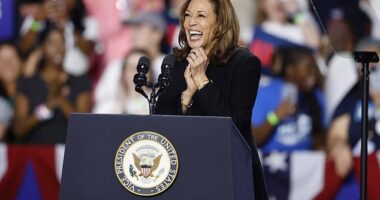 Kamala Harris took the stage to thunderous applause in Charlotte, NC for her first campaign rally after the debate on Tuesday. During the event, she called for another debate saying they 'owe it to the voters'