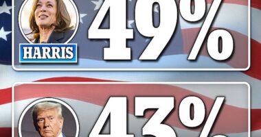 The poll was conducted by J.L. Partners online during the evening of Tuesday September 10th and carries a margin of error of plus or minus 3.5 percent
