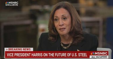Kamala Harris' latest word salad on MSNBC leaves people wondering if she discovered a new buzzword