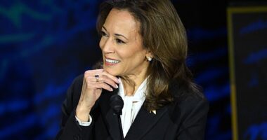 Vice President and Democratic presidential candidate Kamala Harris reacted visibly on camera to protest a number of Trump's statements