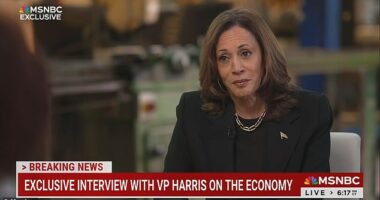 Kamala Harris answered President Donald Trump's accusation that she never worked at McDonald's