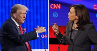 Kamala Harris takes a five-point lead over Donald Trump in the 2024 race