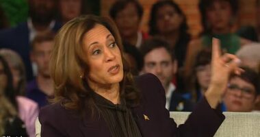 Kamala Harris reaffirmed that she's a gun owner and will fire away if anyone tries to sneak into her house