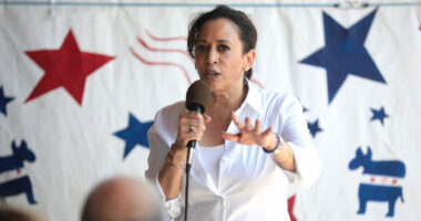 Kamala Pledged to 'Enter Gun Owners' Homes' & Place Them on Watchlist.