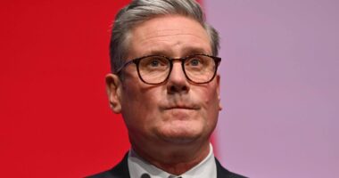 Keir Starmer accepted £20,000 of accommodation to help his son study for GCSEs