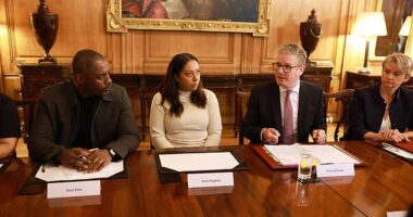 idris Elba, Yemi Hughes - whose 19-year-old son Andre Aderemi was murdered in 2016 - Keir Starmer and Home Secretary Yvette Cooper during a knife crime summit in No10 today