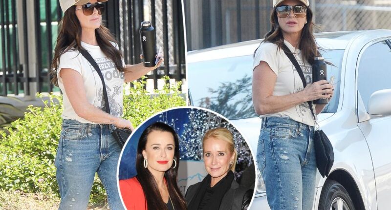 Kyle Richards visits LA courthouse amid reported battle for Kim’s eviction due to alleged relapse