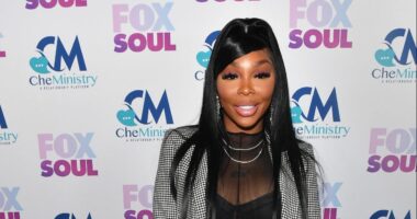 Sierra Gates LHHATL Her Husband Xzavia Thomas Married Courthouse Video
