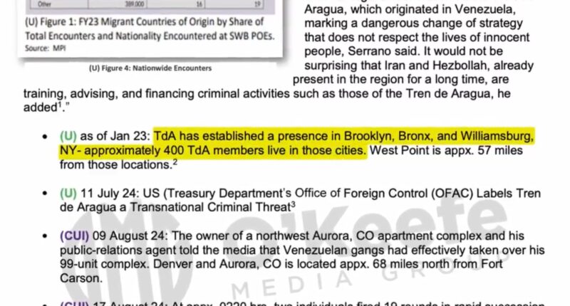 Leaked Army Advisory Warns of Migrant Gang Violence in Major Cities.