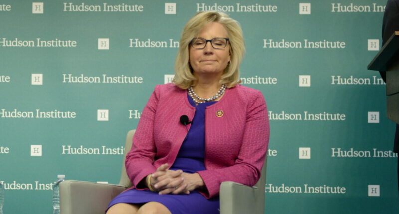 Liz Cheney Wants a New Party for Neo-Cons.