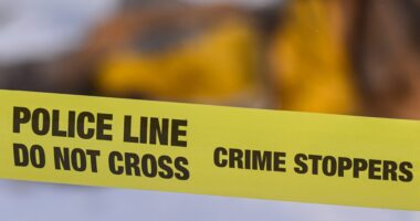 Long Island Man Commits Murder-Suicide Killing Siblings And Niece Over Sale Of Mother's Beloved Home