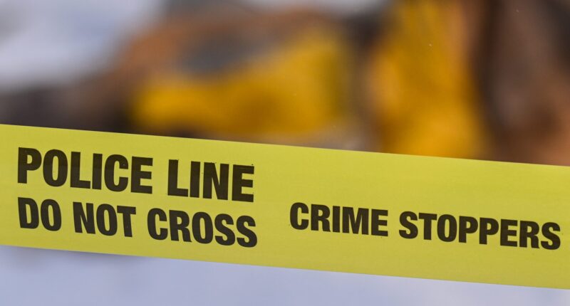 Long Island Man Commits Murder-Suicide Killing Siblings And Niece Over Sale Of Mother's Beloved Home