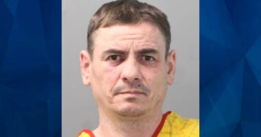 Long Island Man Pleads Guilty to Stabbing Wife to Death in Backyard