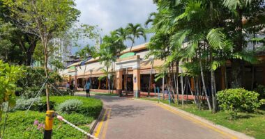 Man, 41, arrested for alleged murder of woman, 48, at Maxwell Food Centre - Mothership.SG