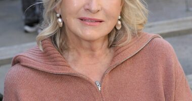 Martha Stewart is reportedly not very happy with a Netflix documentary made about her long career as a lifestyle specialist. Seen in late August