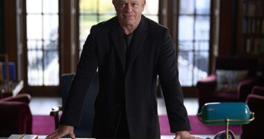 Ross Kemp has claimed Woking is a new base for the Mafia after Italian and US gangs seek smaller towns across Europe to operate in secrecy