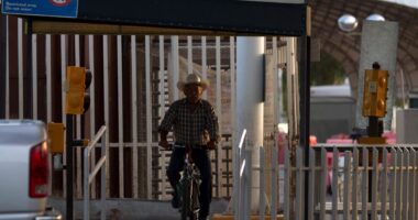 Mexican authorities uncover 24 drug cartel surveillance cameras in city on the border with Arizona