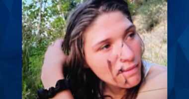 Missing California Woman Found Safe in Wilderness, Stranded Nearly 2 Weeks