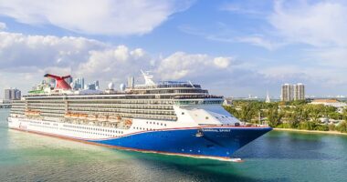 The vessel, the Carnival Spirit, (pictured) was sailing in Tracy Arm Fjord, Alaska, last week when the iceberg scraped alongside it