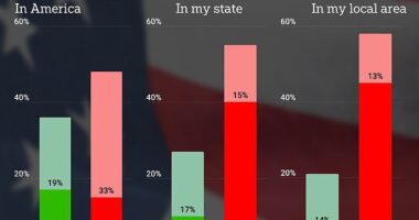 J.L. Partners polled 1000 likely voters to get their views on fake claims that Haitians were eating pets. The results carry a 3 percent margin of error